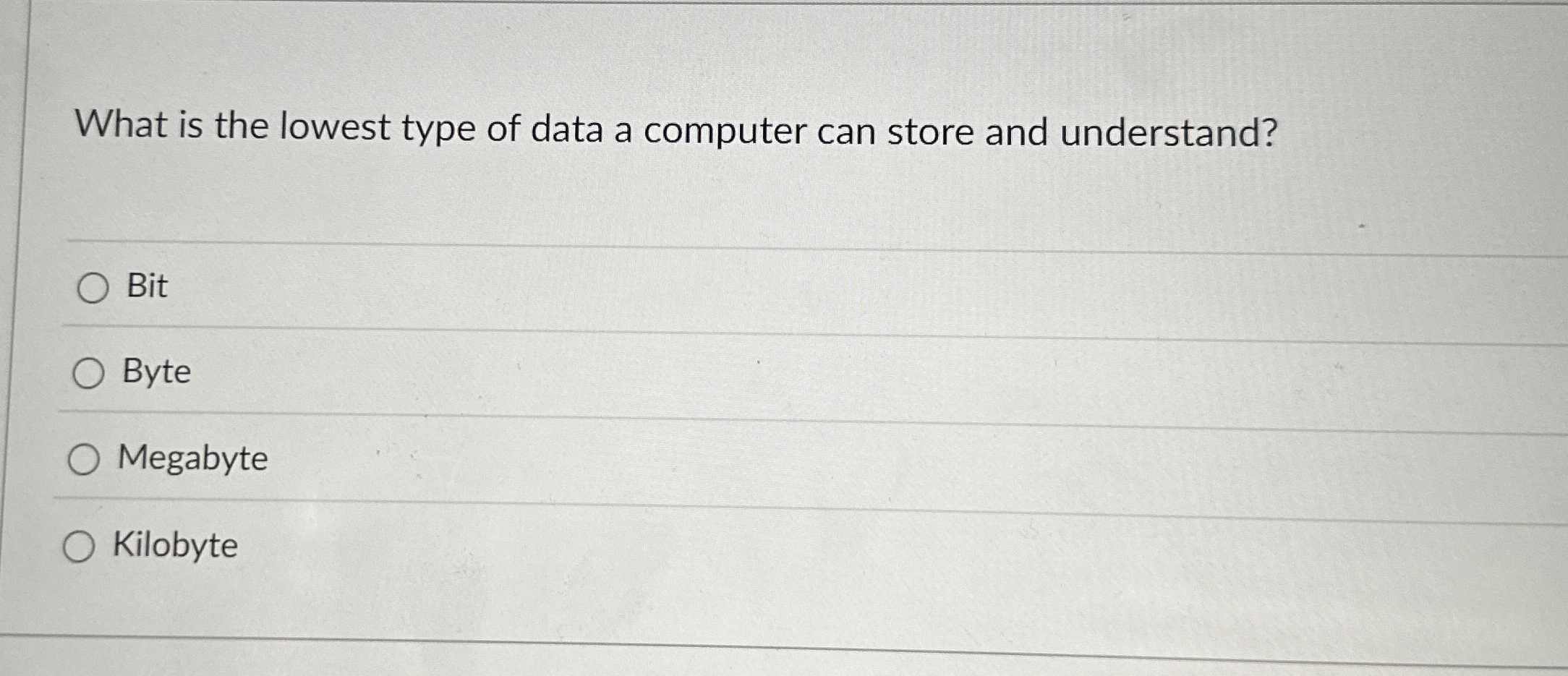 What is the lowest type of data a computer can