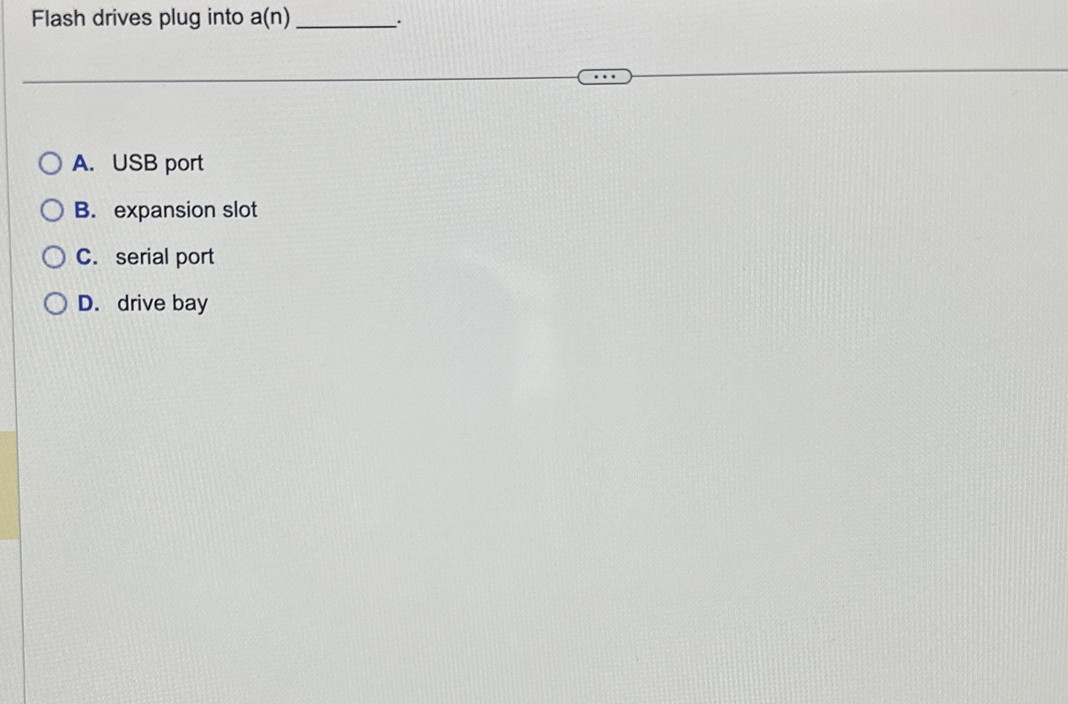 Flash drives plug into a ( n ) A . USB port B .