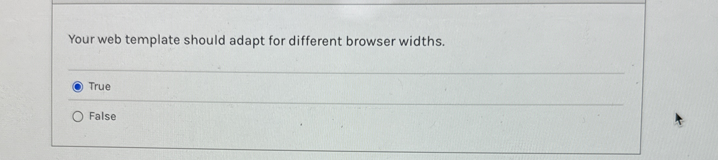 Your web template should adapt for different