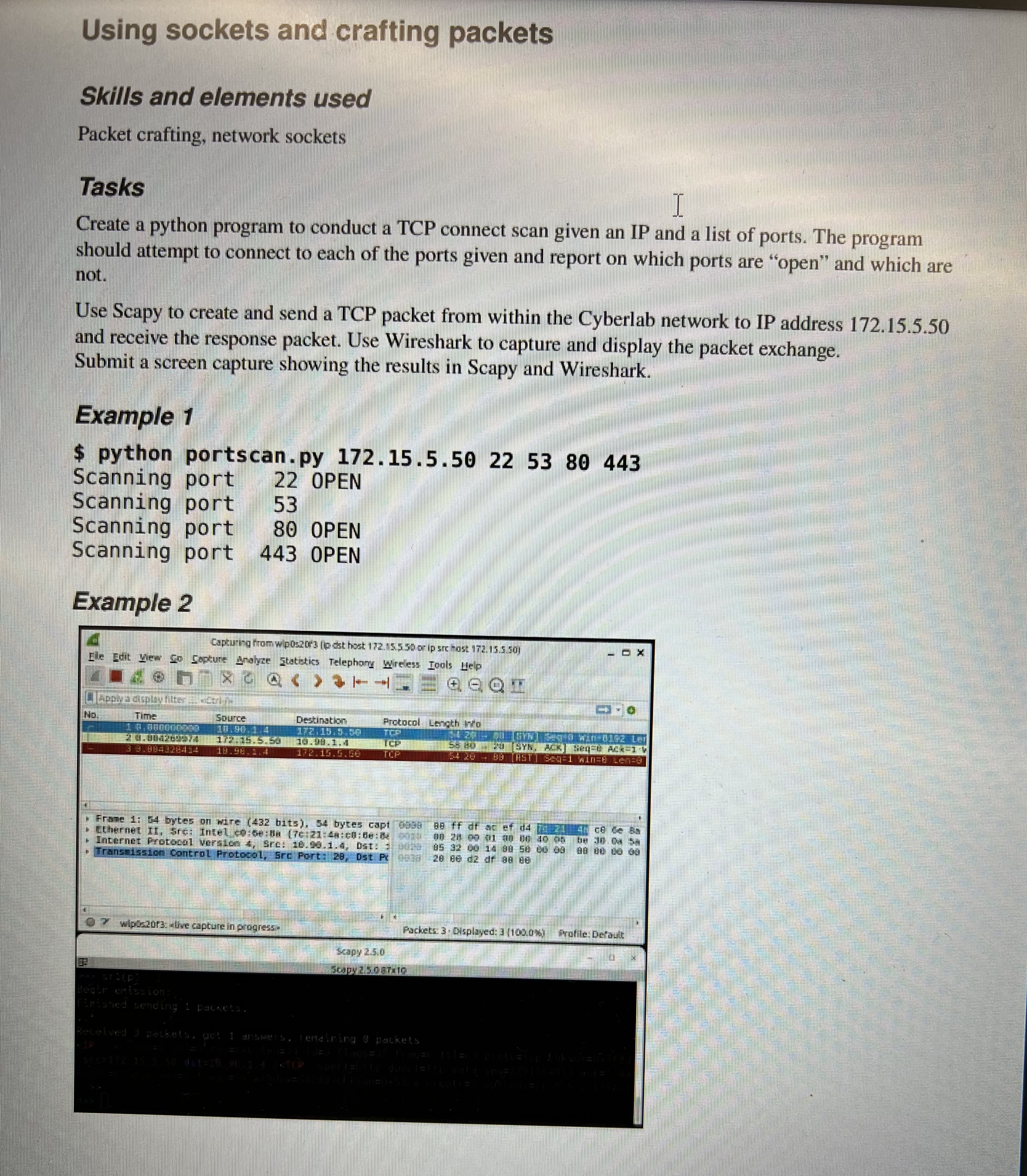 TasksCreate a python program to conduct a TCP