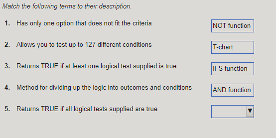 Match the following terms to their description.