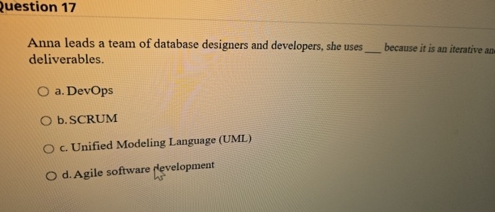 question 1 7 Anna leads a team of database