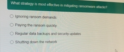 What strategy is most effective in mitigating