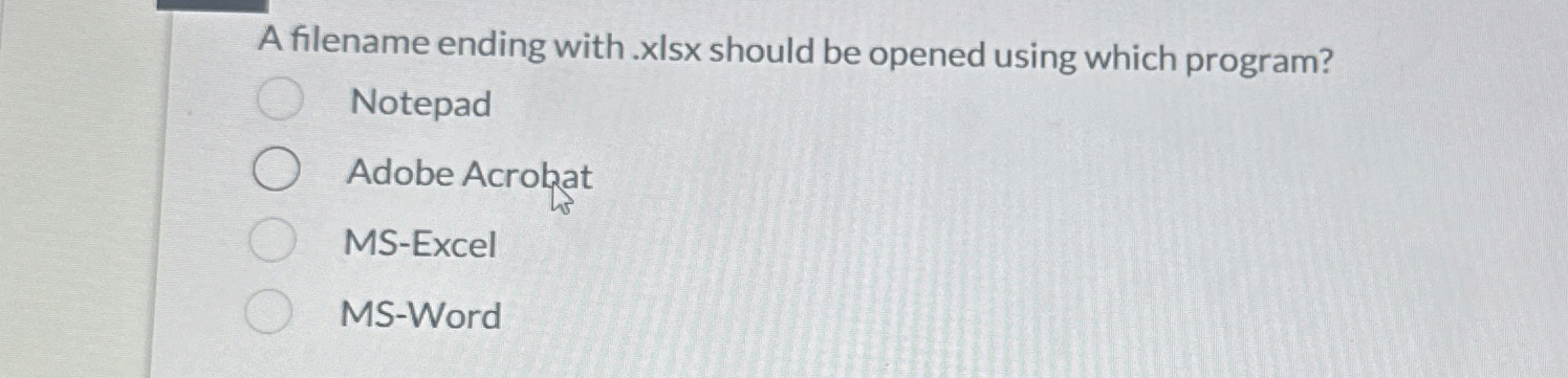 A filename ending with . x | s | should be opened