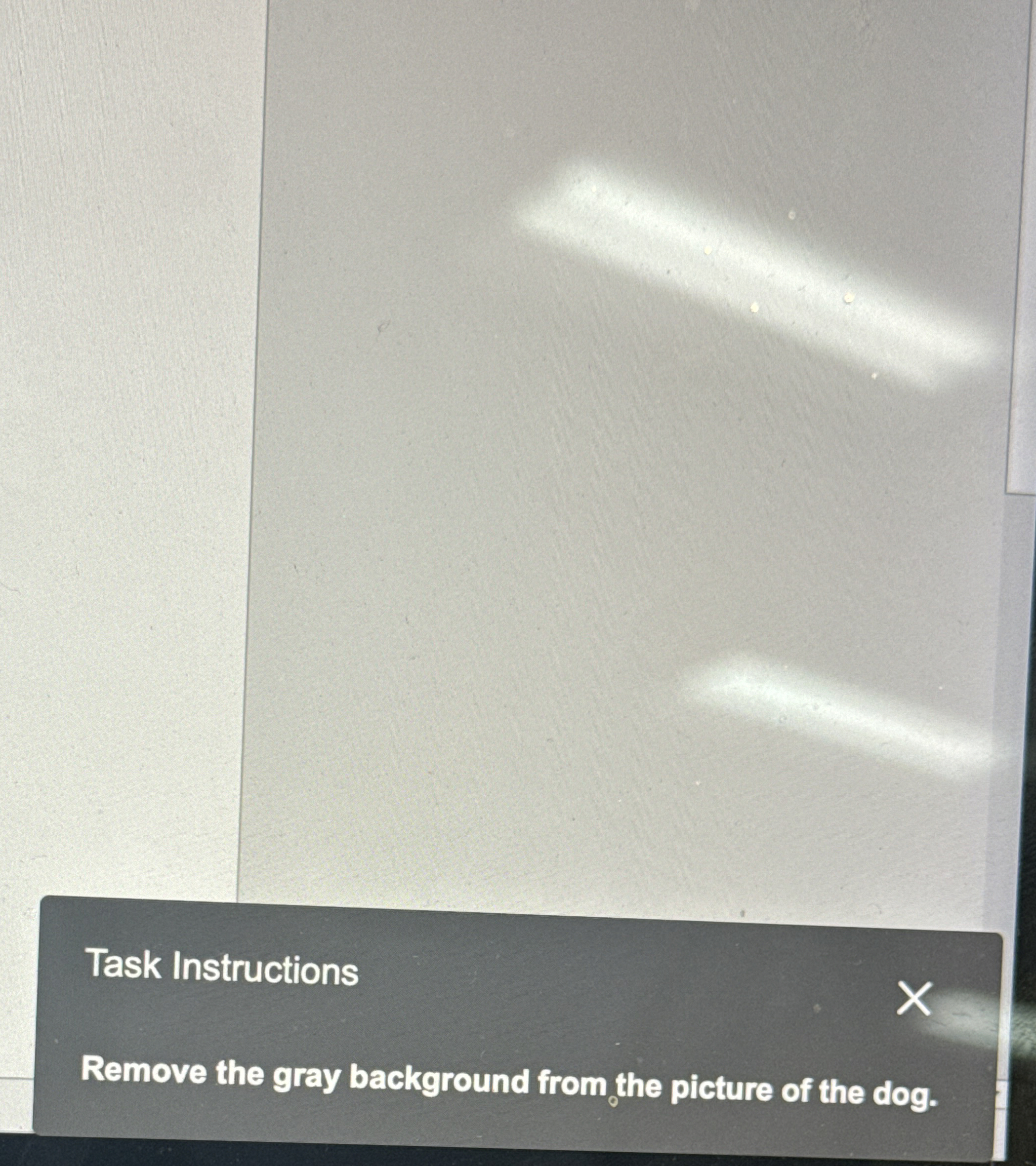 Task Instructions Remove the gray background from