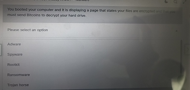 must send Bitcoins to decrypt your hard drive.