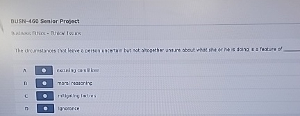 BUSN - 4 6 0 Senior Project Busteses Ethes -