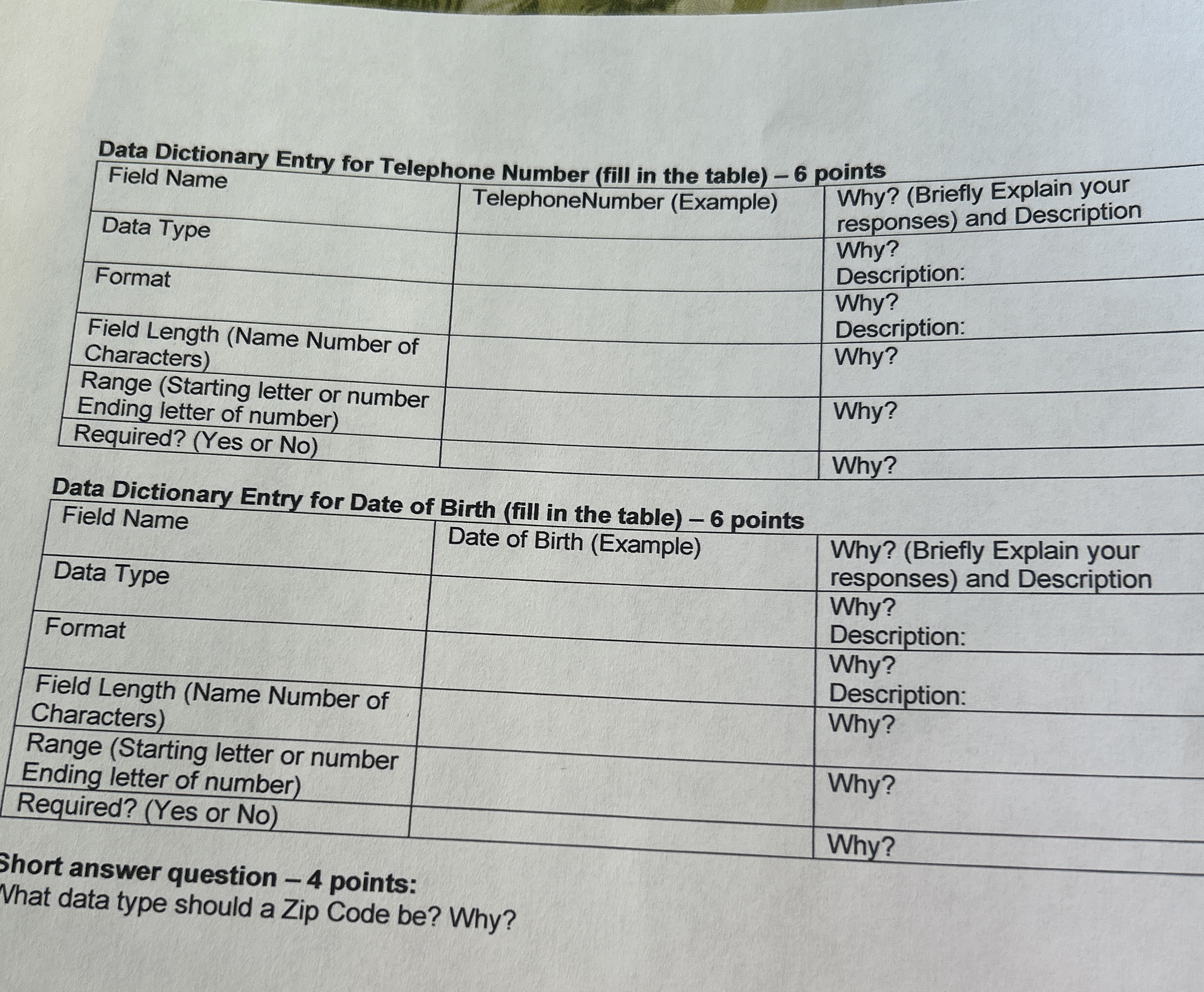 Data Dictionary Entry for Telephone Number ( fill
