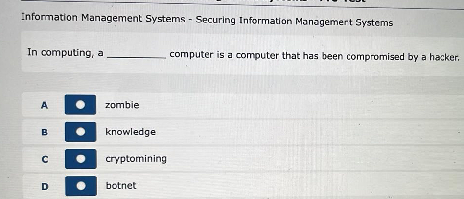 Information Management Systems - Securing