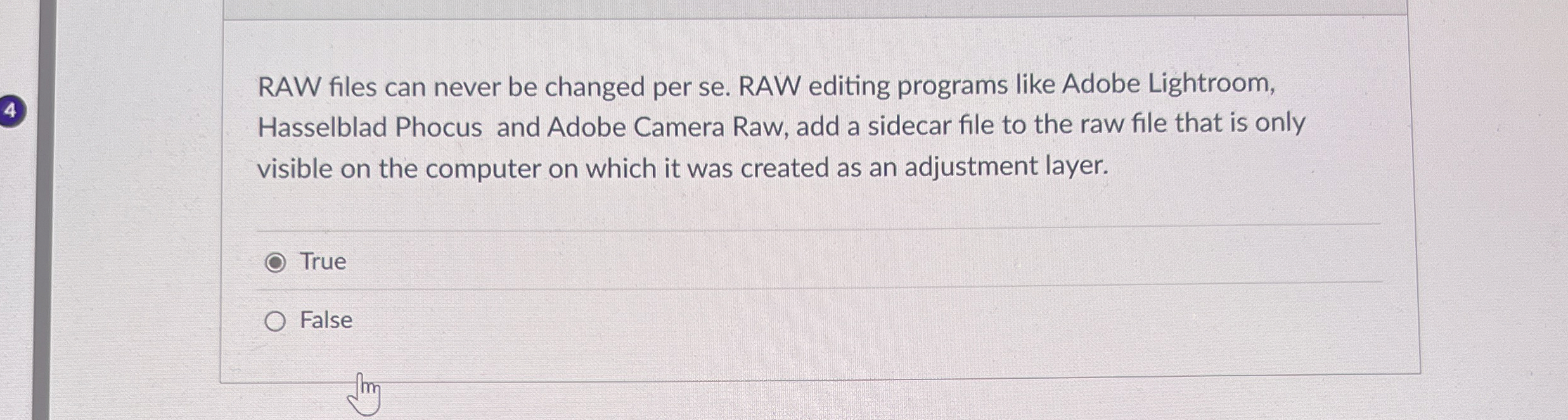 RAW files can never be changed per se . RAW