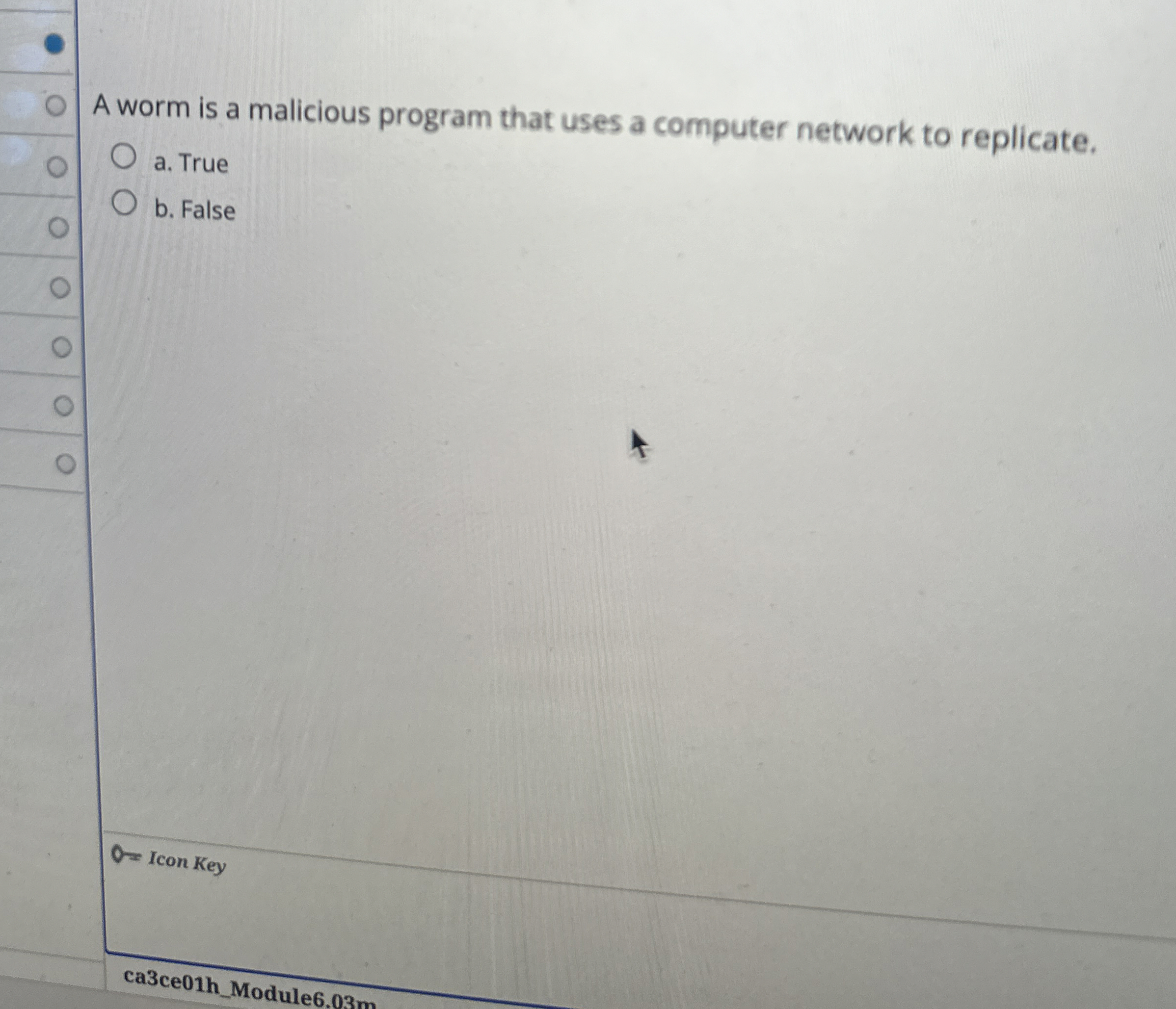 A worm is a malicious program that uses a