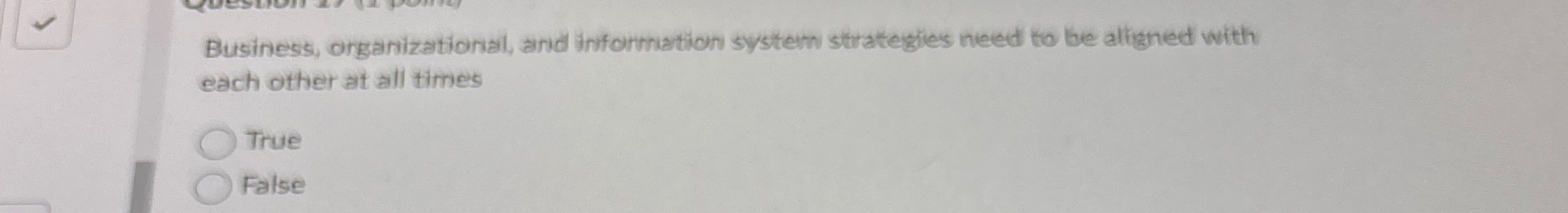 Business, organizational, and information system