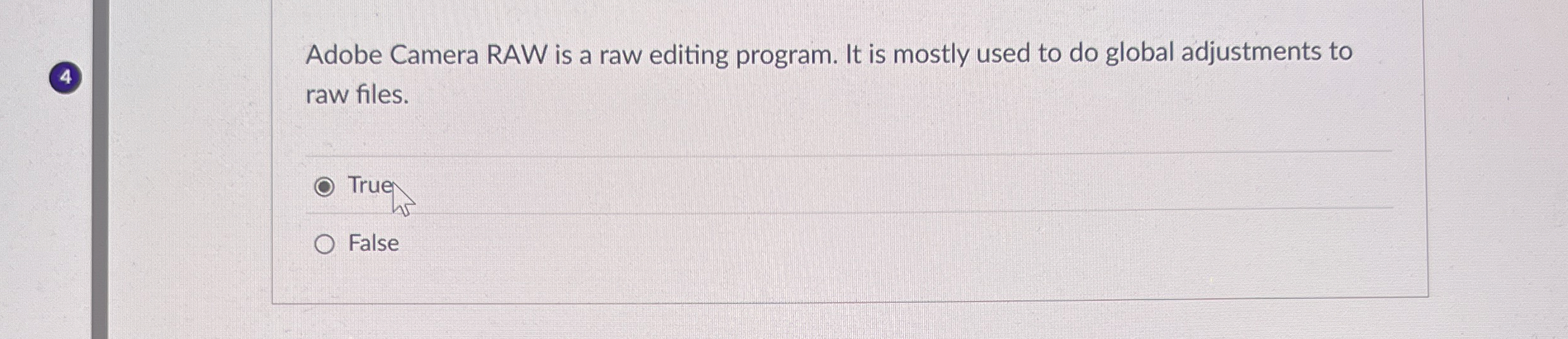 Adobe Camera RAW is a raw editing program. It is
