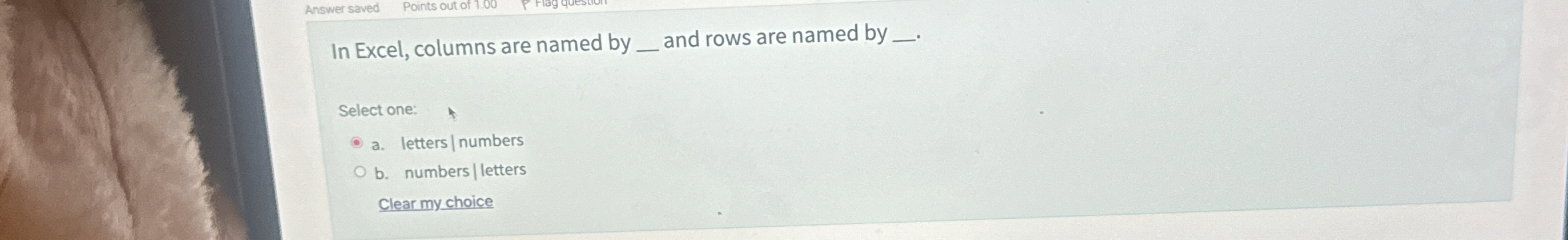 In Excel, columns are named by and rows are named