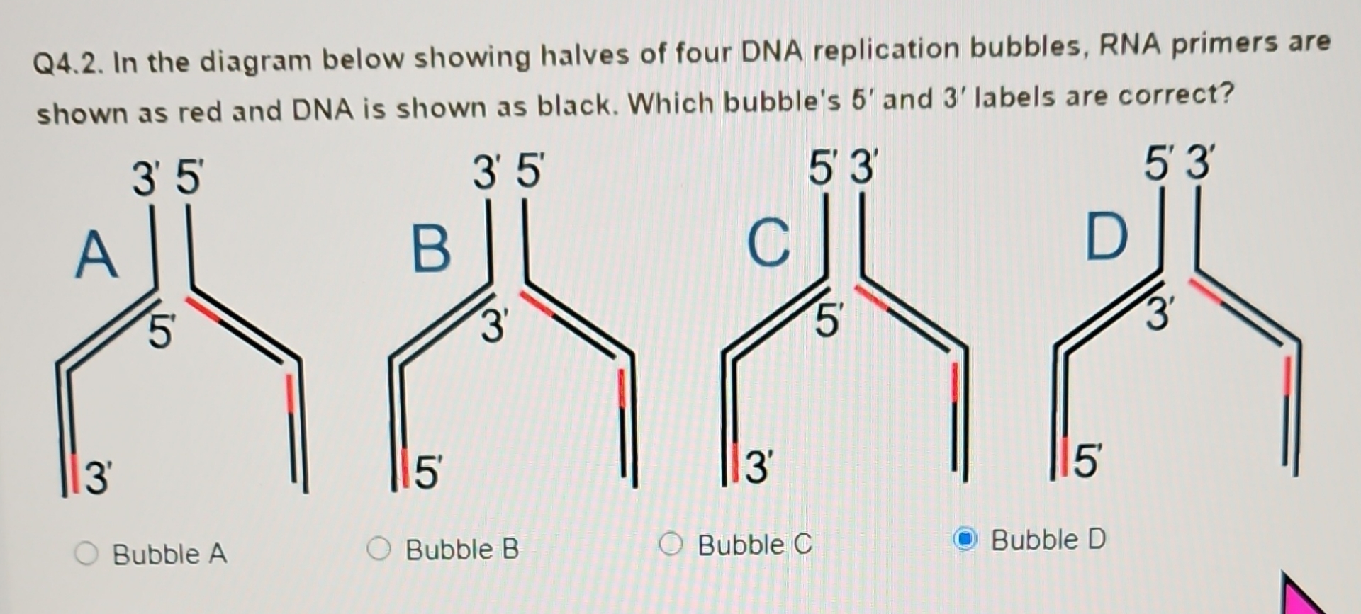 Bubble ABubble BBubble C Buble D