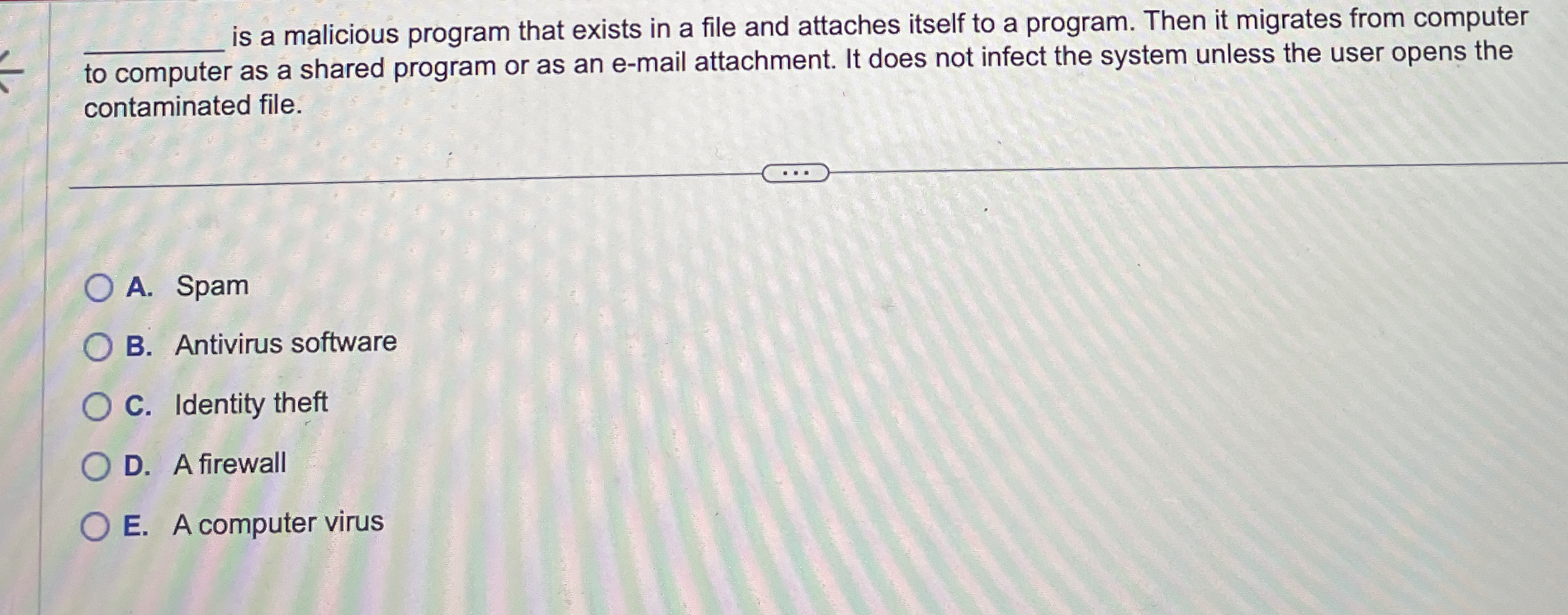 q , is a malicious program that exists in a file