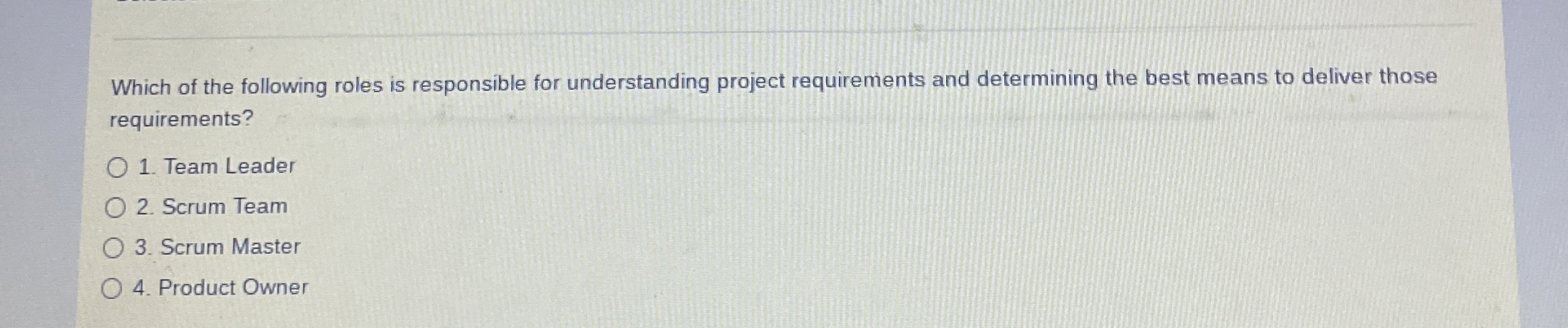 Which of the following roles is responsible for