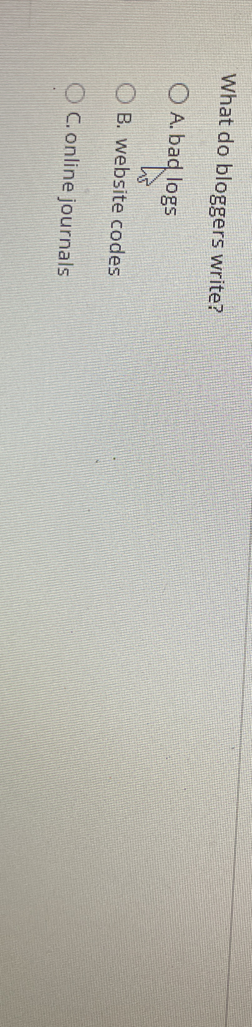 What do bloggers write? A . bad logs B . website