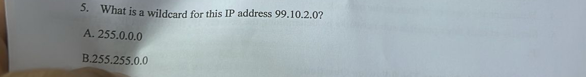 What is a wildcard for this IP address 9 9 . 1 0