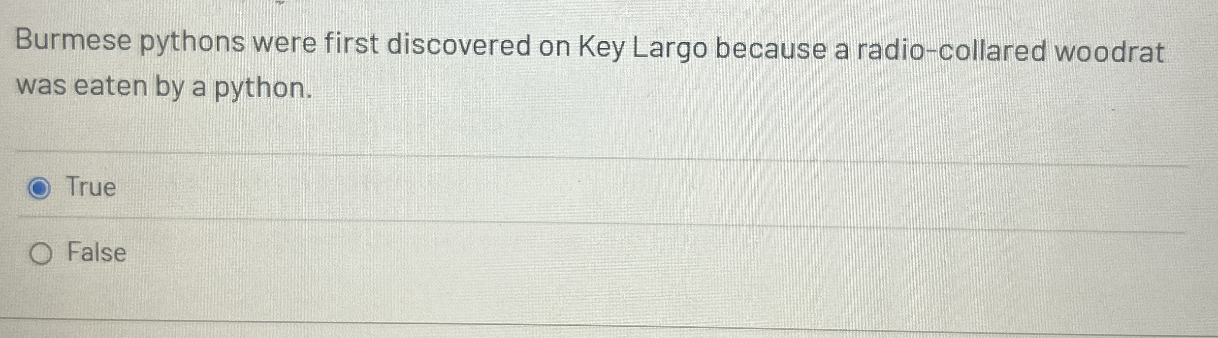 Burmese pythons were first discovered on Key