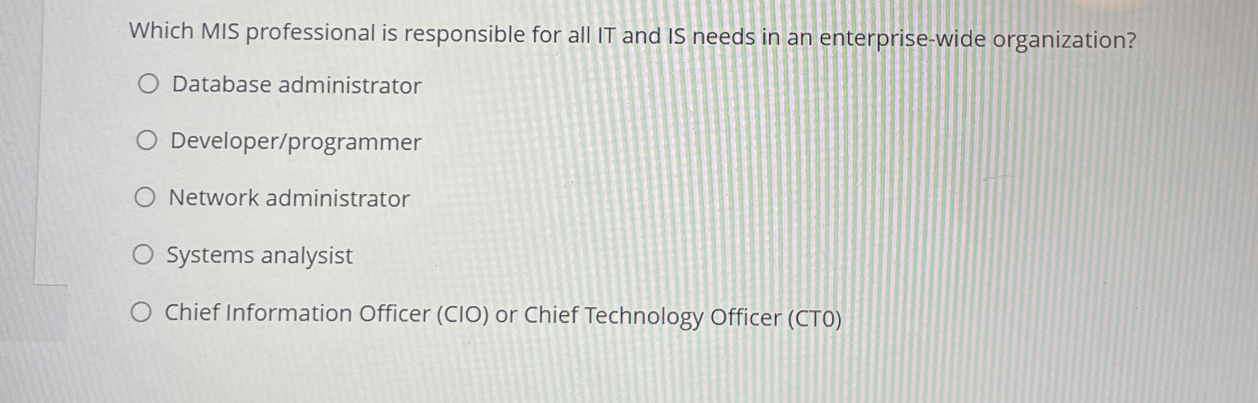 Which MIS professional is responsible for all IT