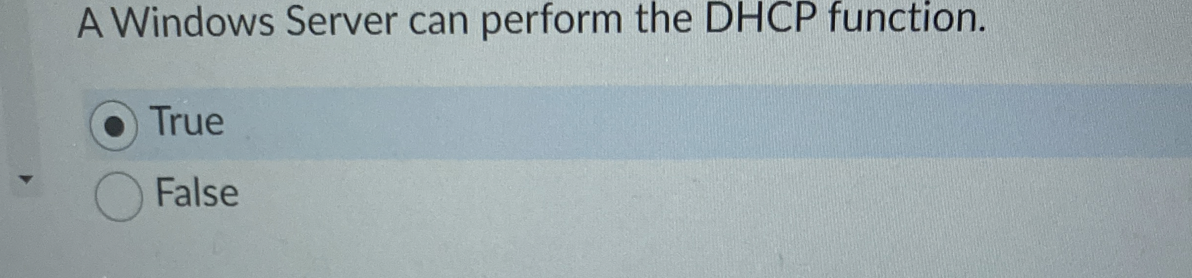 A Windows Server can perform the DHCP function.