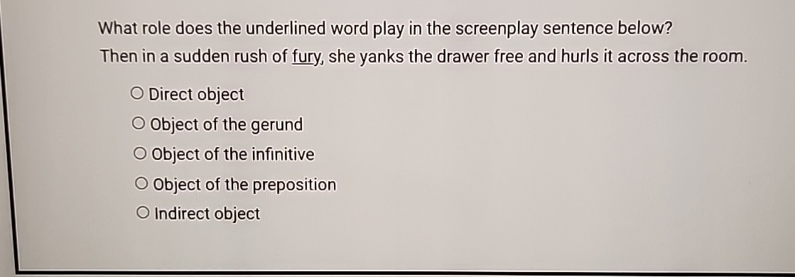 What role does the underlined word play in the