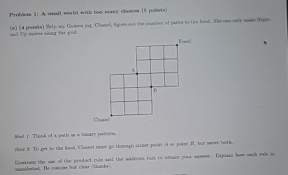 Problem 1 ; A small world with too many chosices