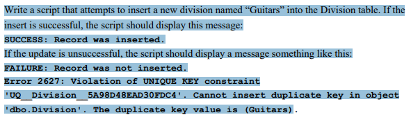 Write a script that attempts to insert a new