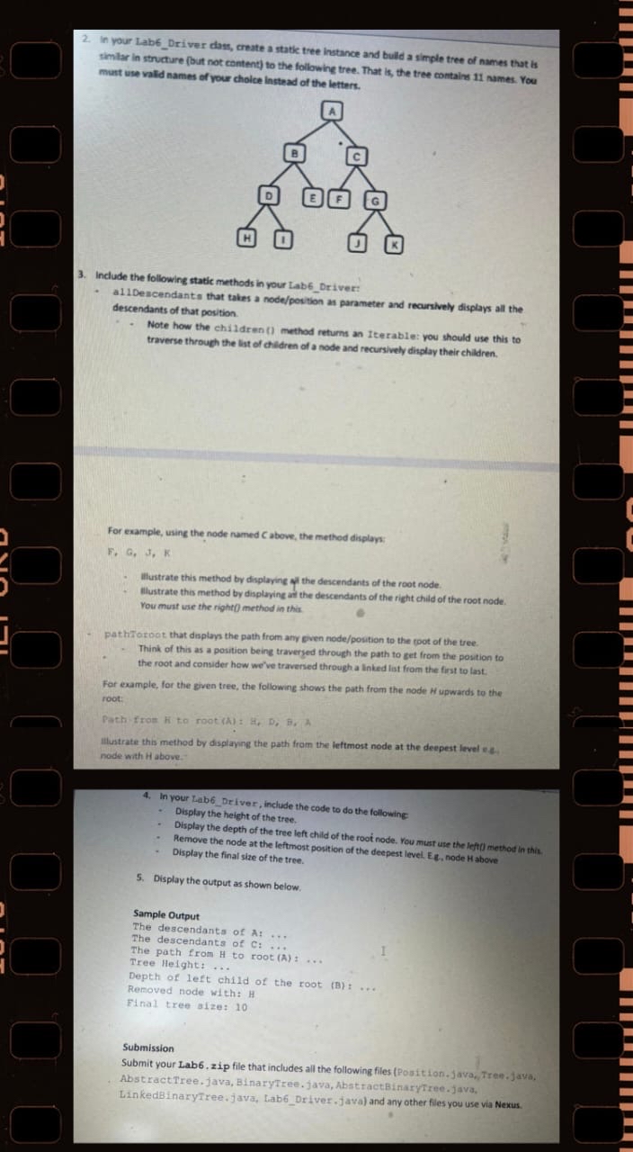 In your Lab 6 _ Driver dass, create a static tree