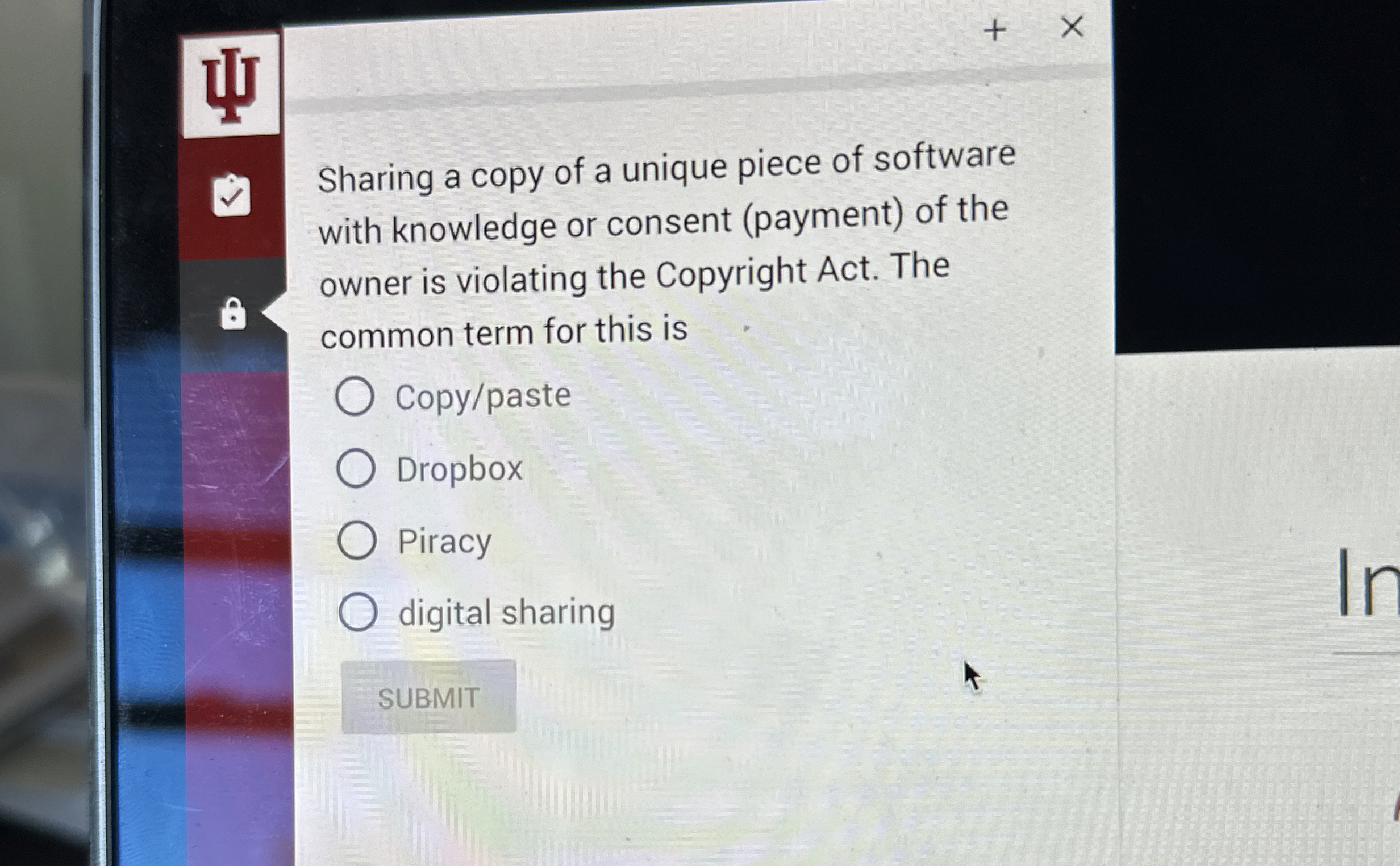 Sharing a copy of a unique piece of software with