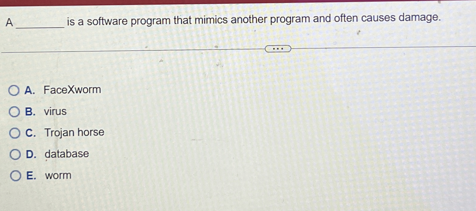 A q , is a software program that mimics another