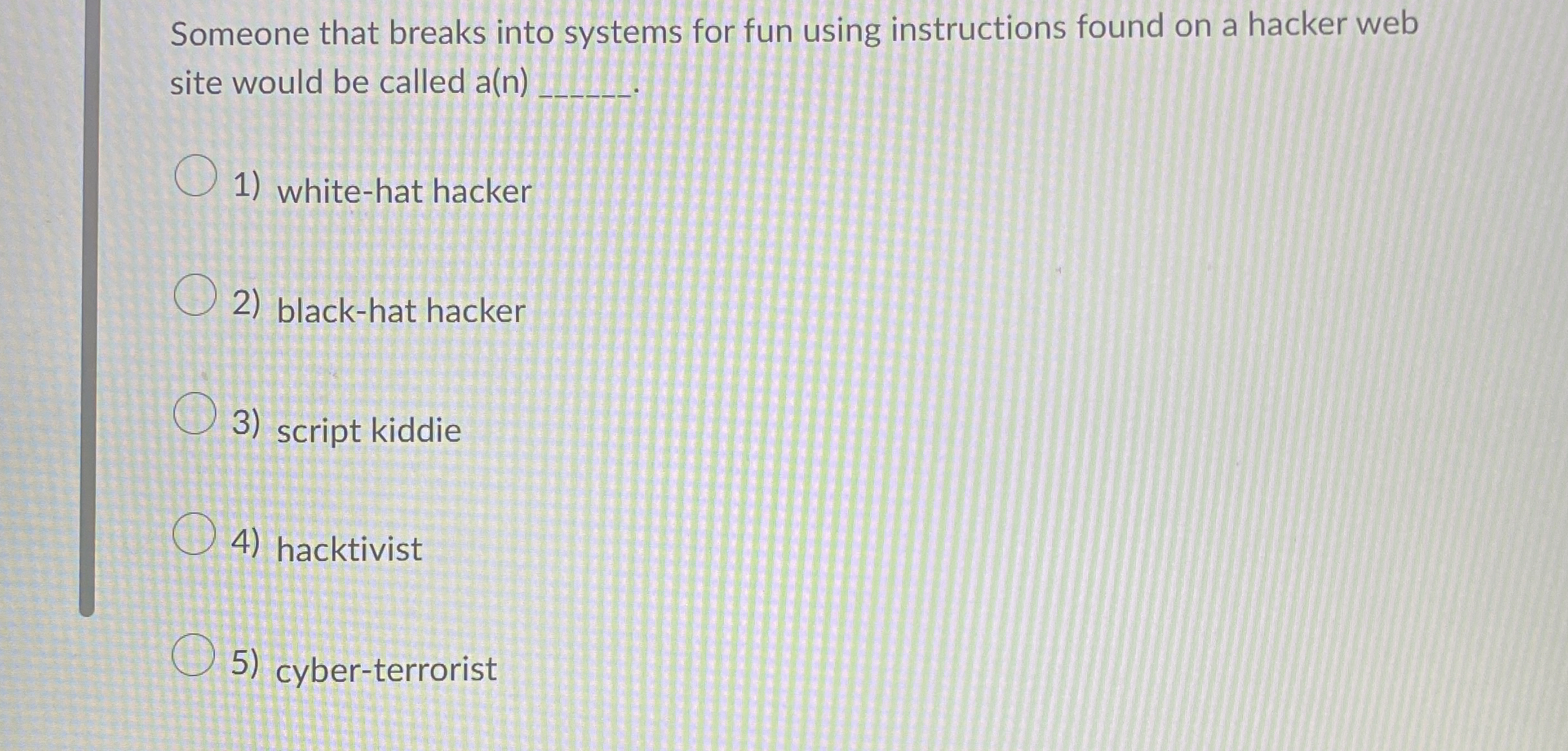 Someone that breaks into systems for fun using