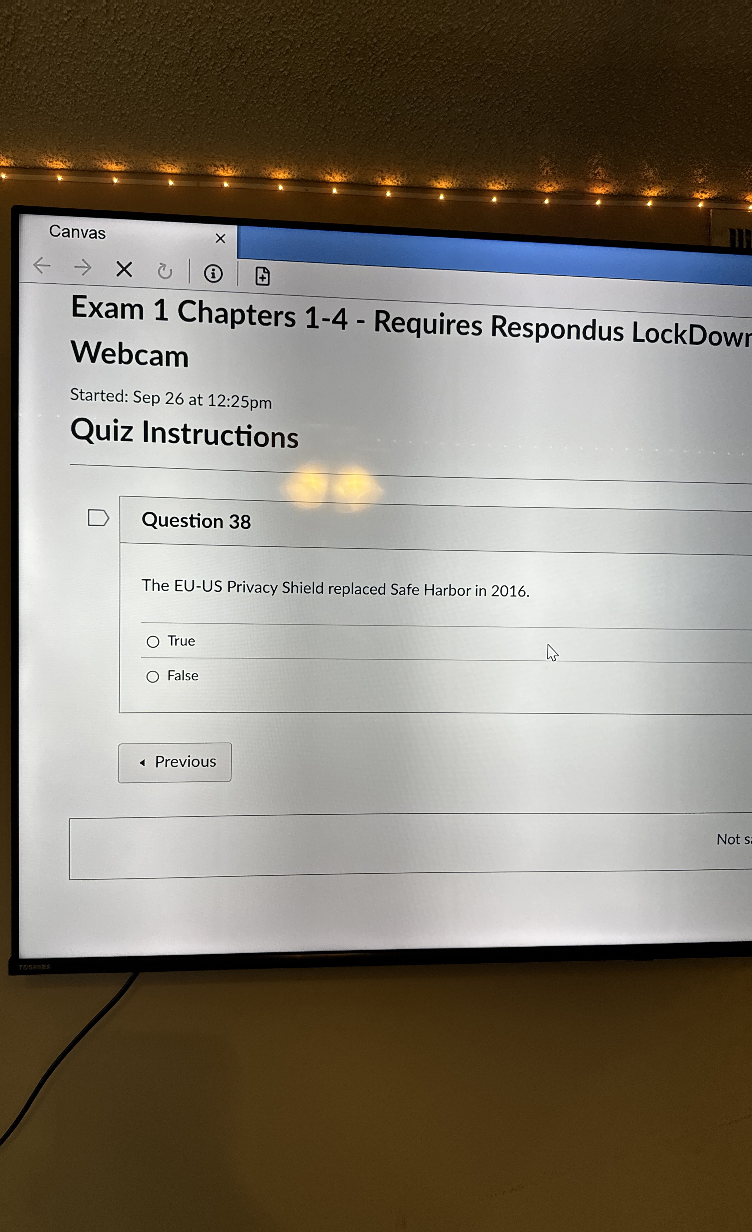 Question 3 8 The EU - US Privacy Shield replaced