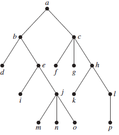 Question 4 8 options: Answer the following