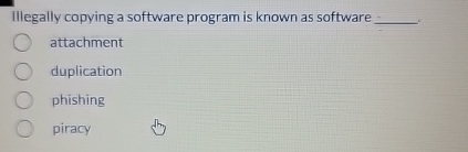Illegally copying a software program is known as
