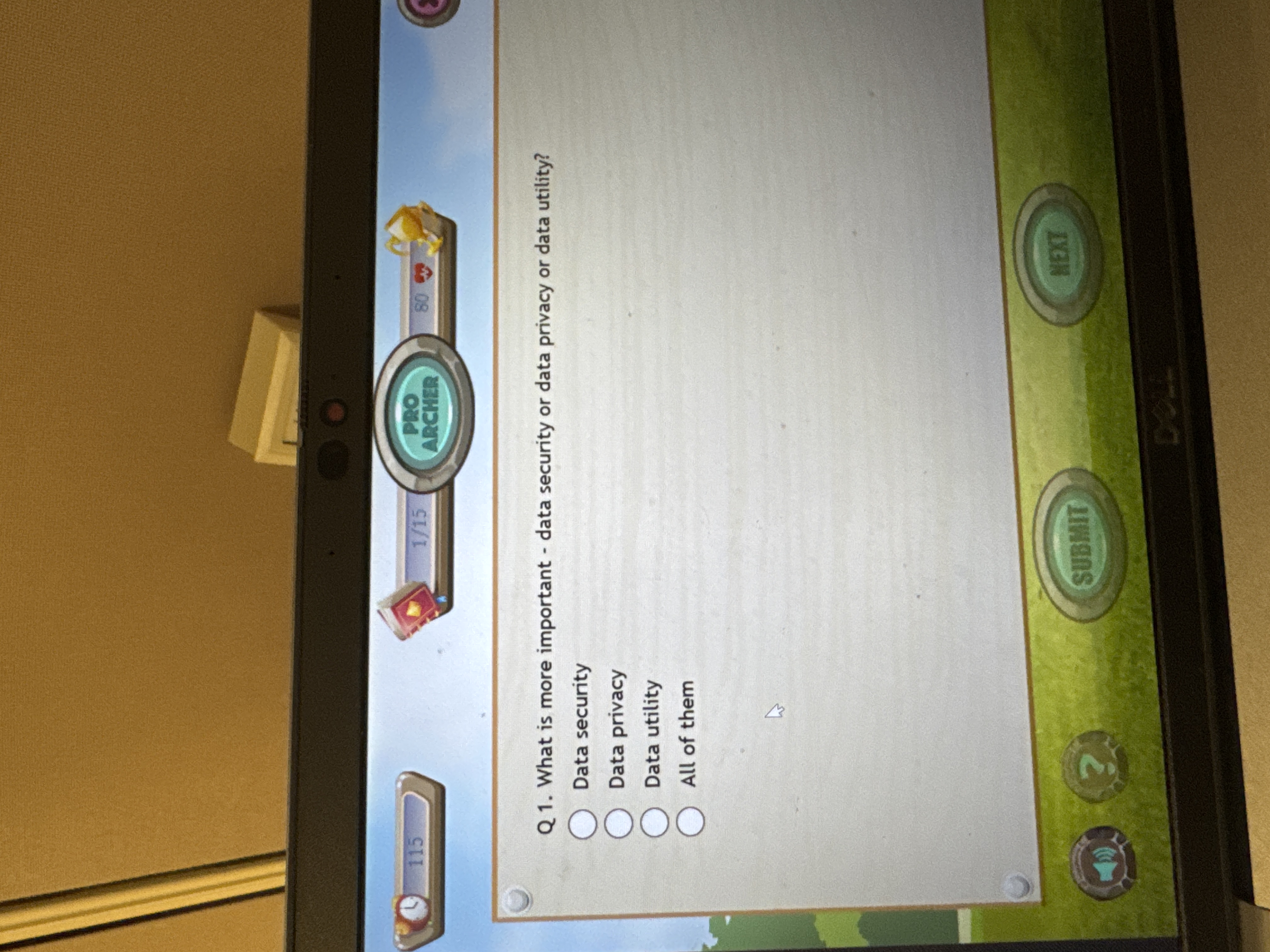 Q 1 . What is more important - data security or