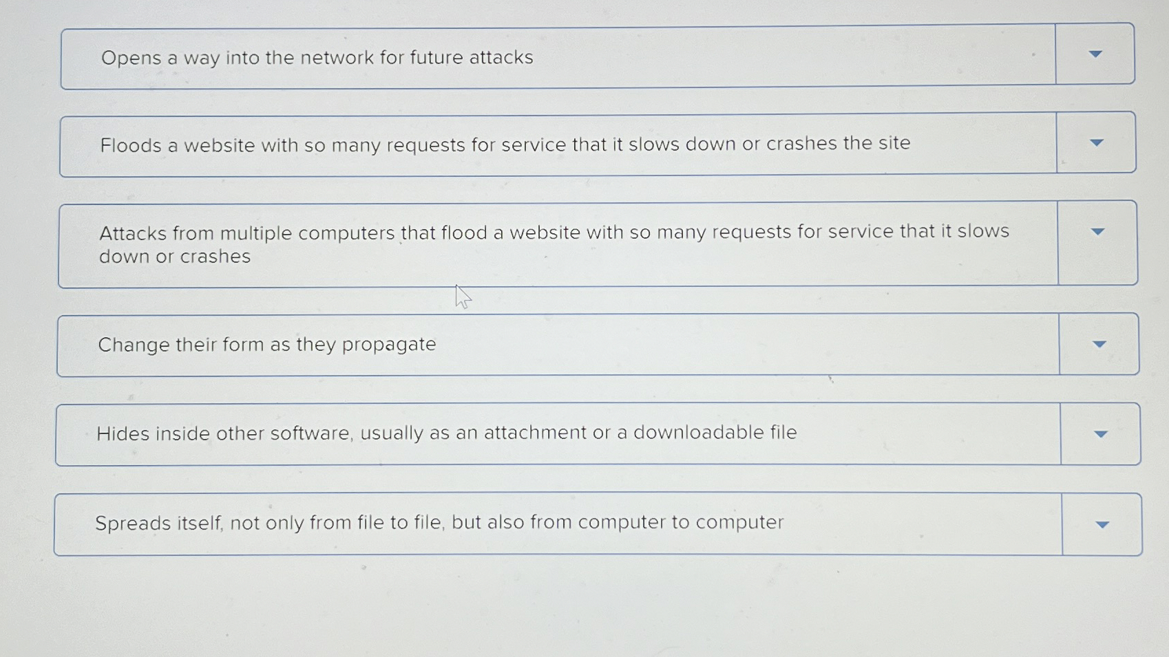 Opens a way into the network for future attacks