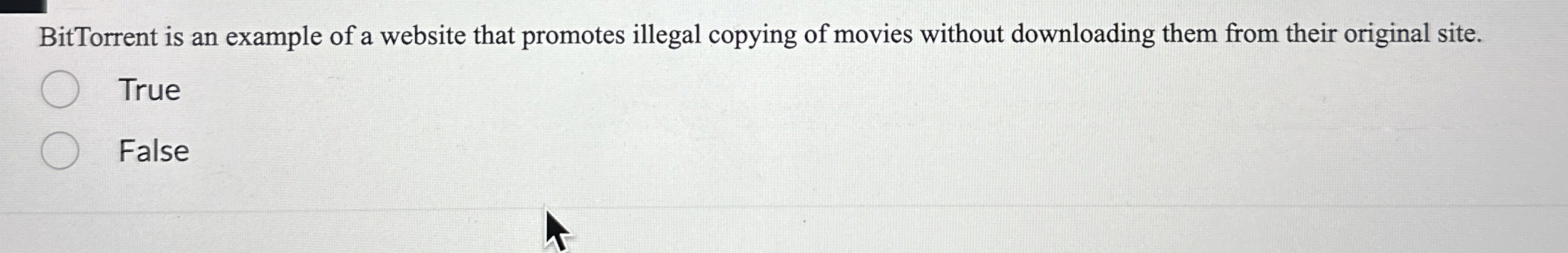 BitTorrent is an example of a website that