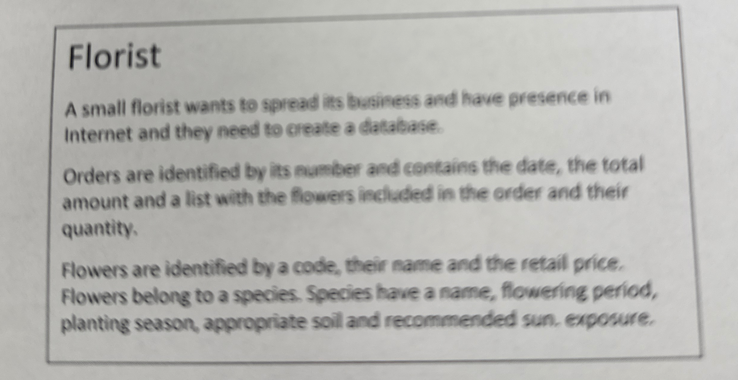 Florist A small florist wants to spread its