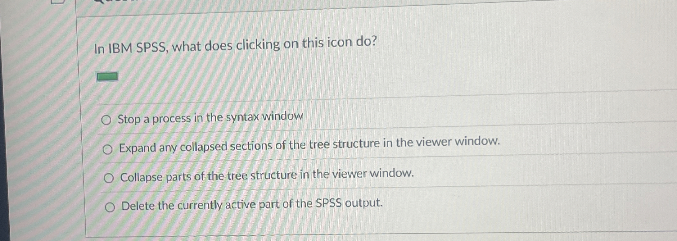 In IBM SPSS , what does clicking on this icon do
