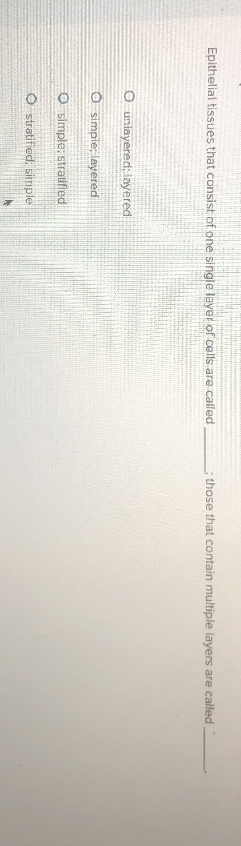 Epithelial tissues that consist of one single