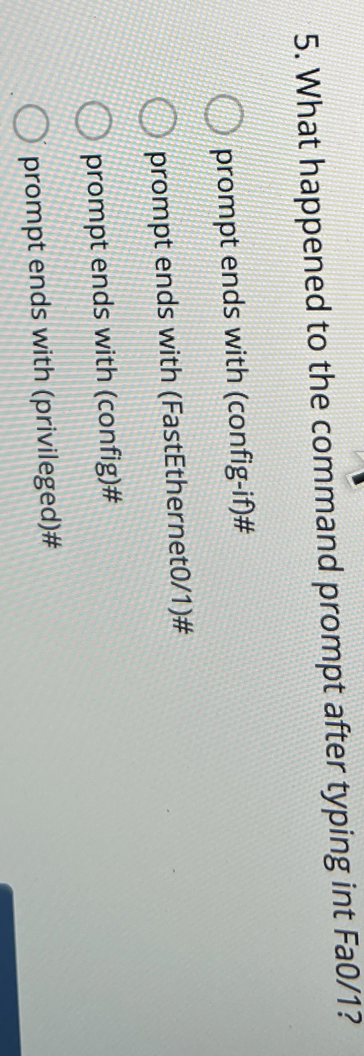 What happened to the command prompt after typing