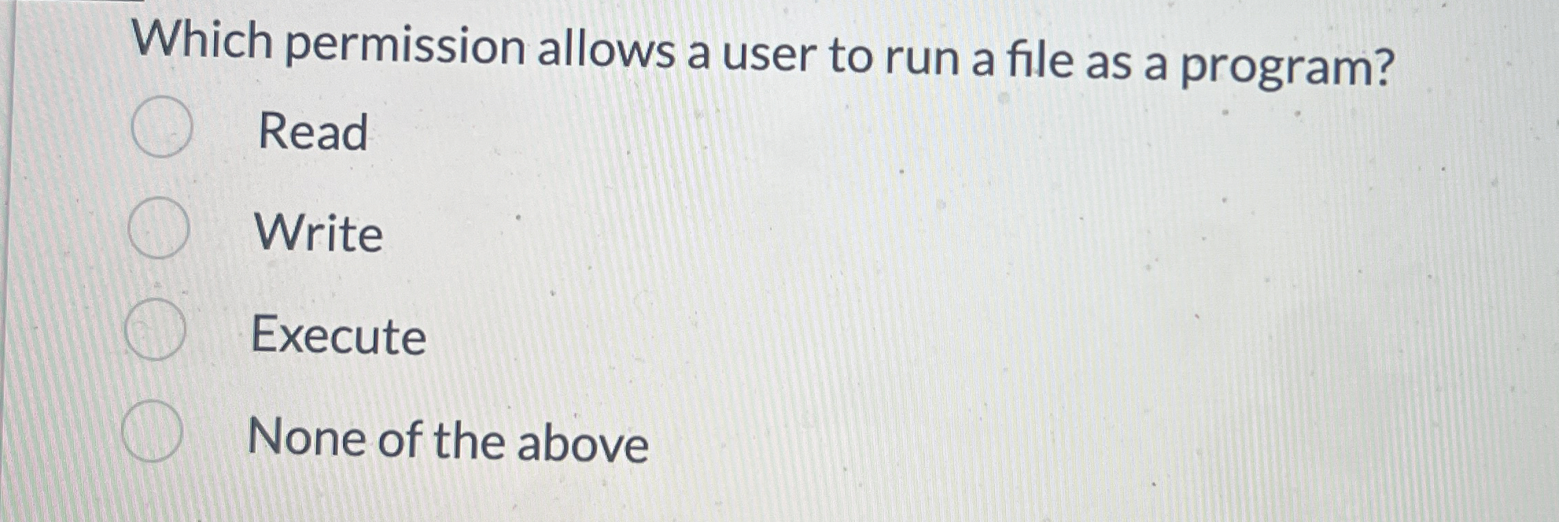 Which permission allows a user to run a file as a