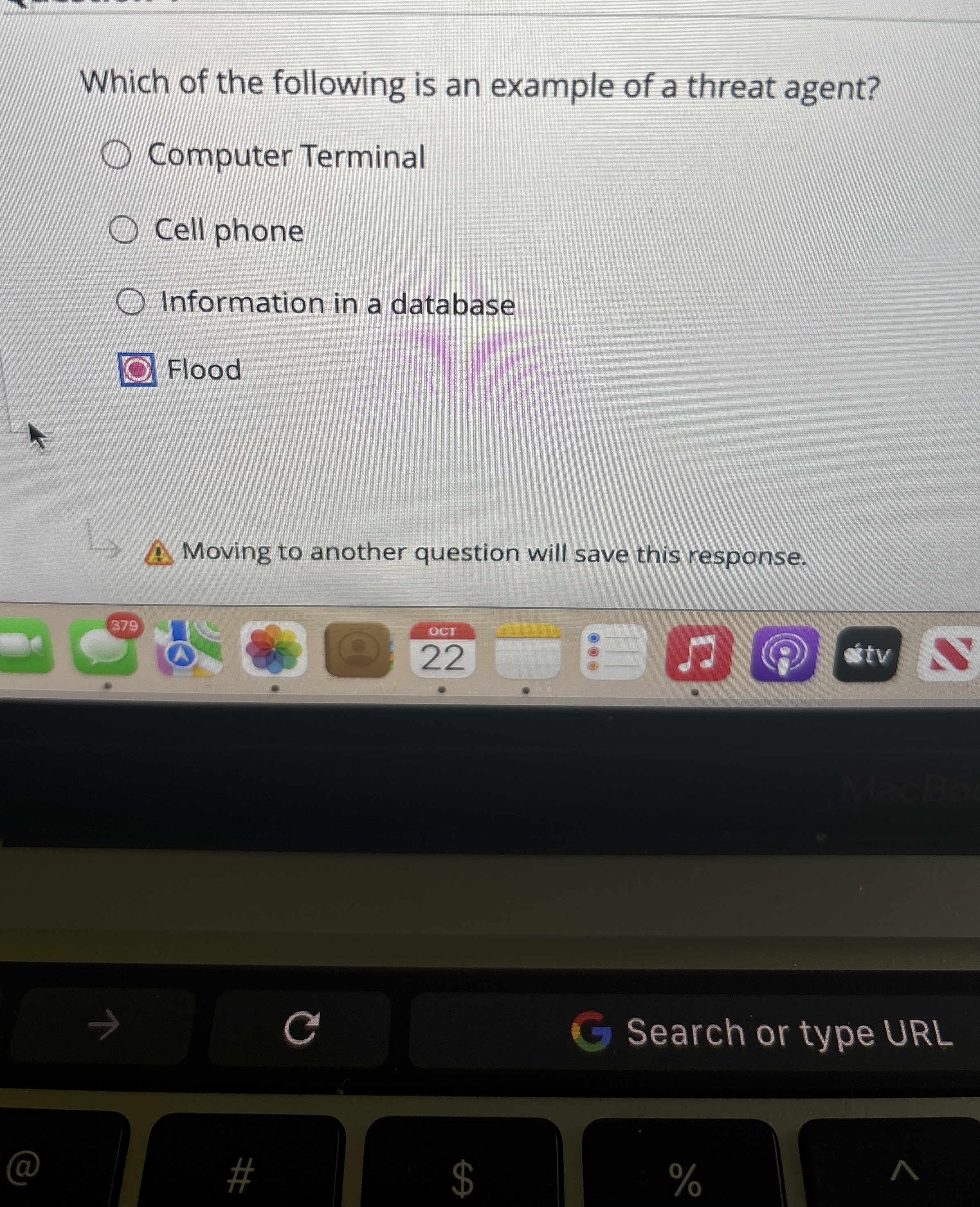 Which of the following is an example of a threat