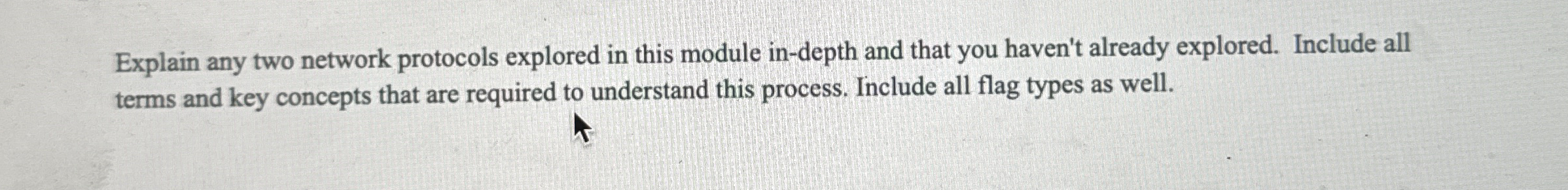 Explain any two network protocols explored in