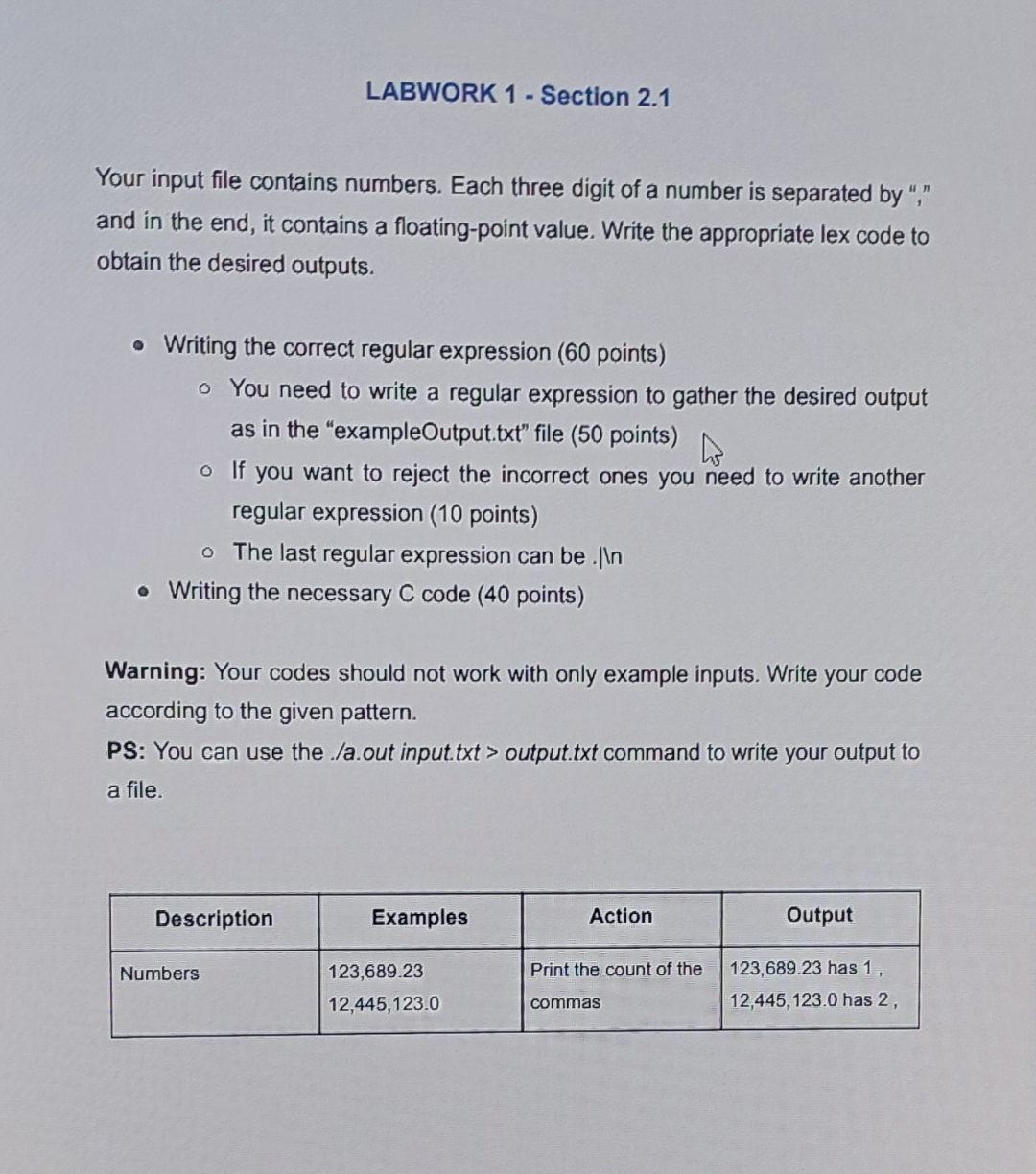 LABWORK 1 - Section 2 . 1 Your input file