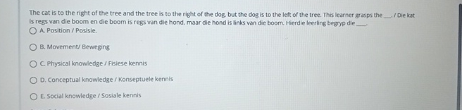 The cat is to the right of the tree and the tree