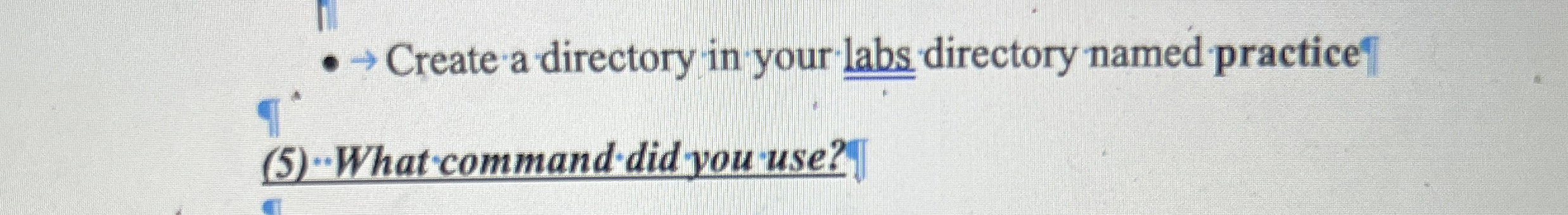 Create a directory in your labs directory named
