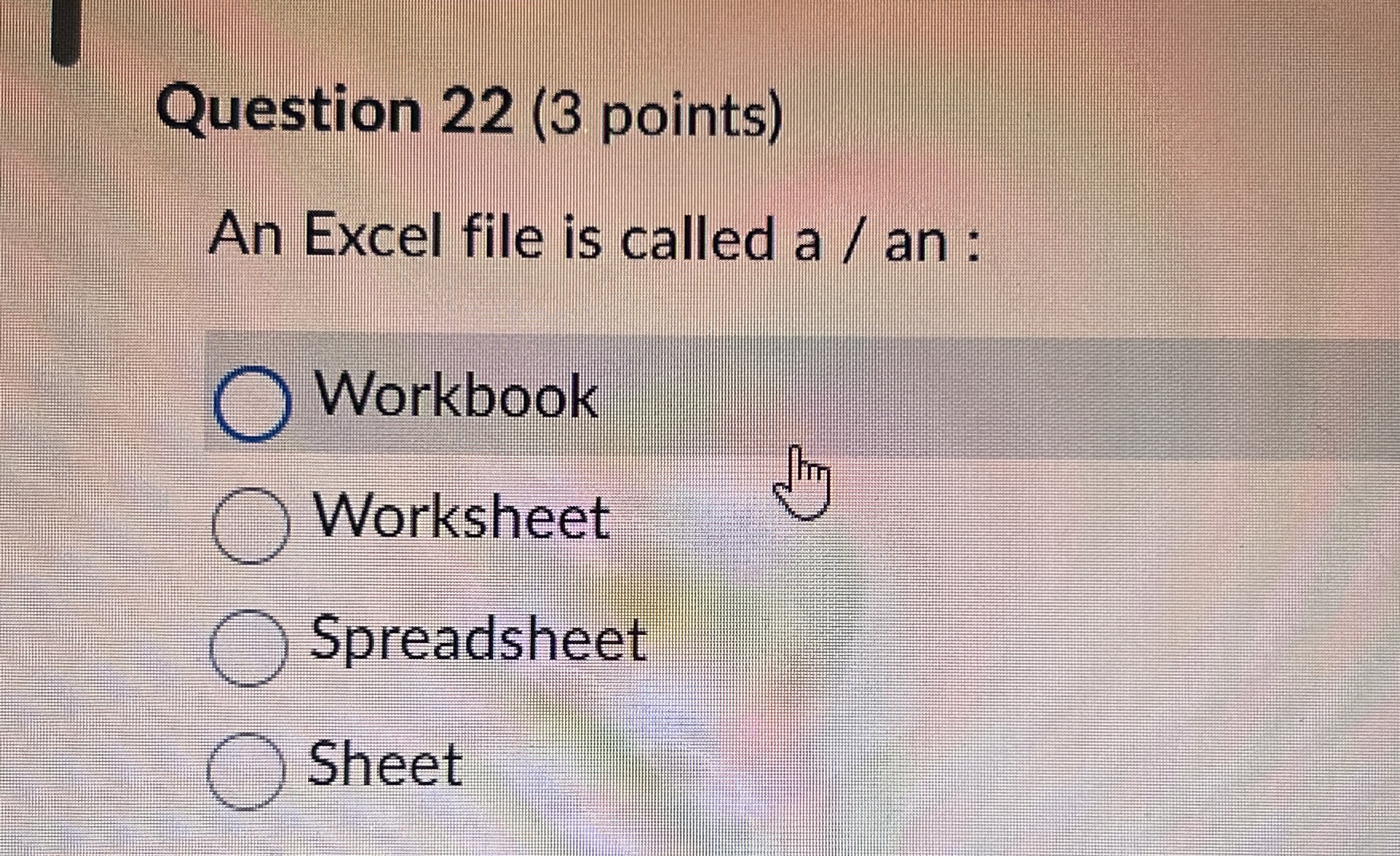 Question 2 2 ( 3 points ) An Excel file is called